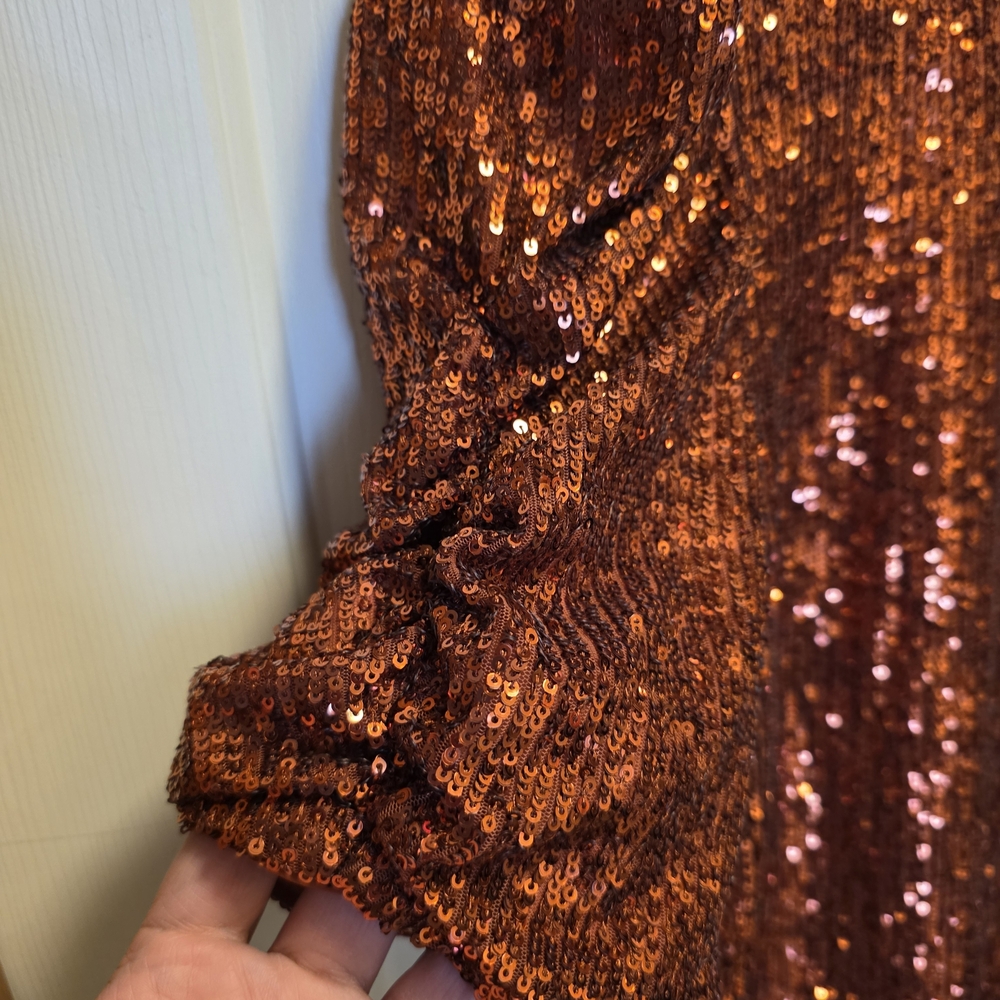 Anthropologie Marie sequin puff-sleeve top Size 6 New Without Tags - Picture 5 of 11